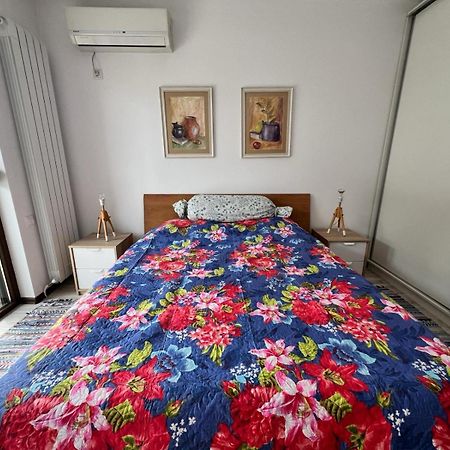 Kazanlak Large Guest House Apartment Near The Center With Full Kitchen & Dining Room, King Beds, Garden Patio, Free Parking & Self Check-In エクステリア 写真