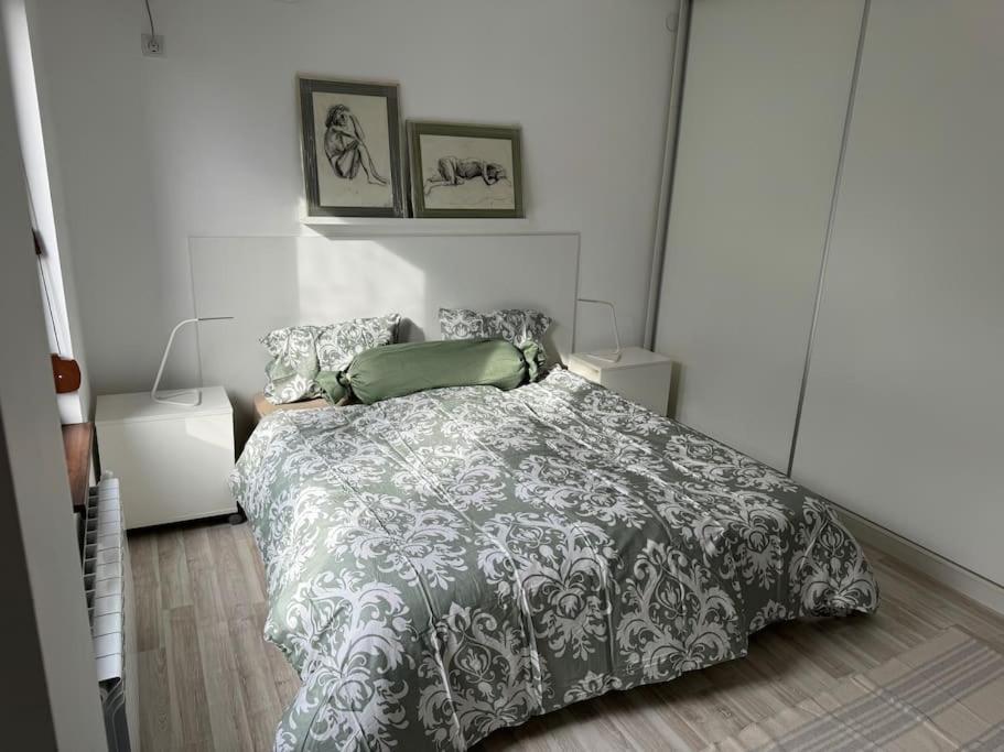 Kazanlak Large Guest House Apartment Near The Center With Full Kitchen & Dining Room, King Beds, Garden Patio, Free Parking & Self Check-In エクステリア 写真
